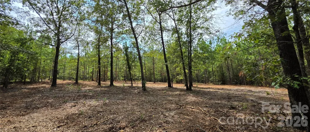 1050 Mcqueen Road Patrick, SC 29584