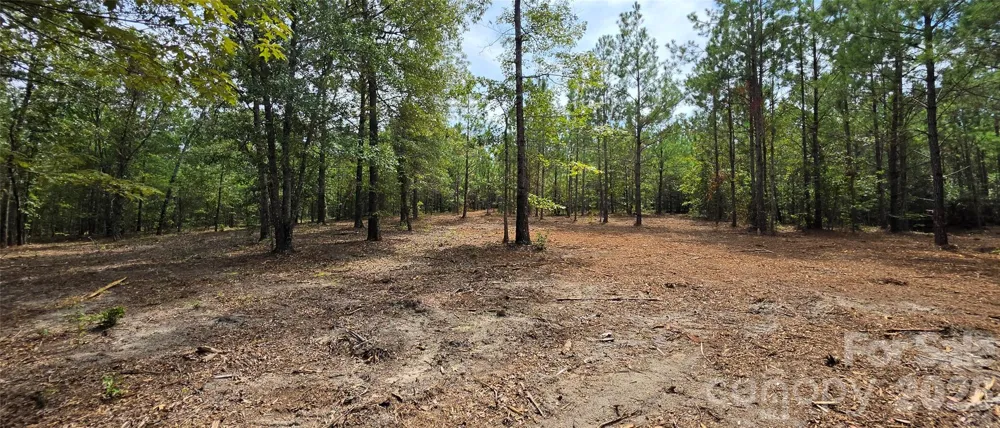 1050 Mcqueen Road Patrick, SC 29584