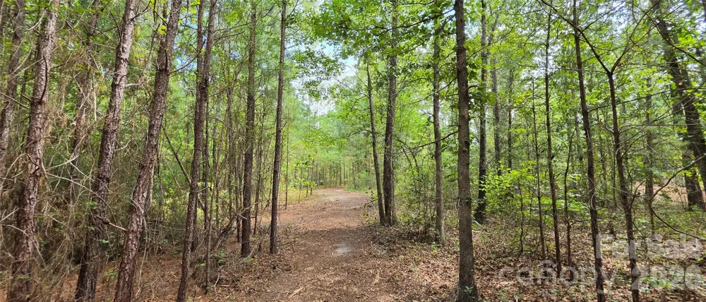 1050 Mcqueen Road Patrick, SC 29584
