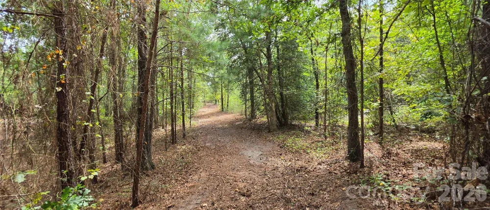 1050 Mcqueen Road Patrick, SC 29584