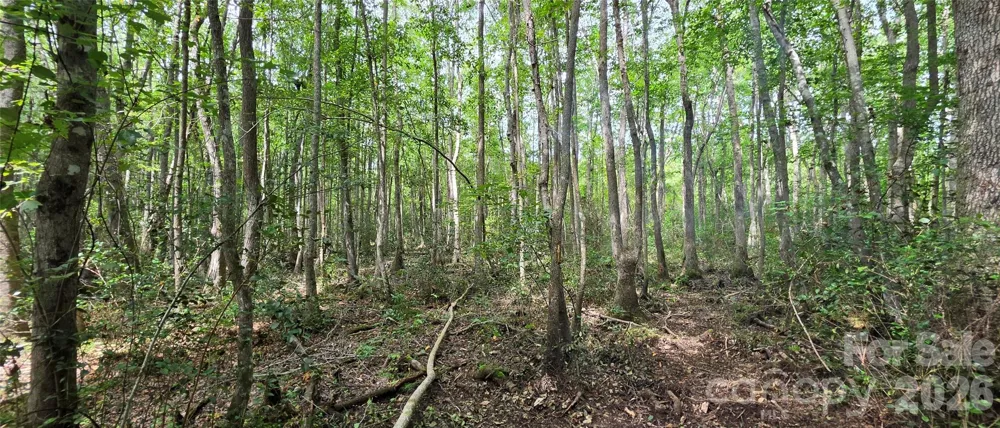1050 Mcqueen Road Patrick, SC 29584