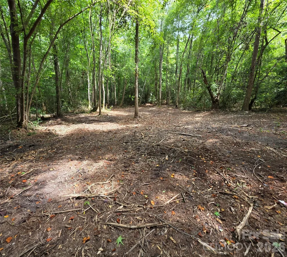 1050 Mcqueen Road Patrick, SC 29584