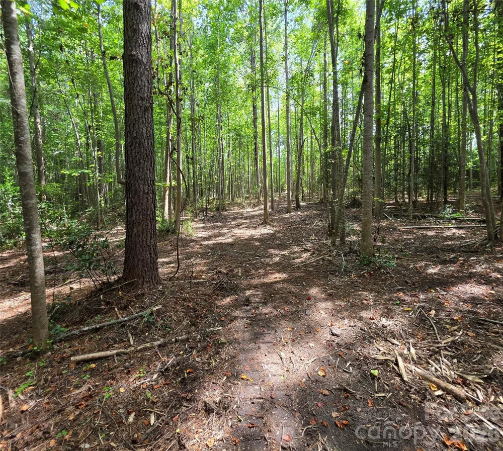 1050 Mcqueen Road Patrick, SC 29584