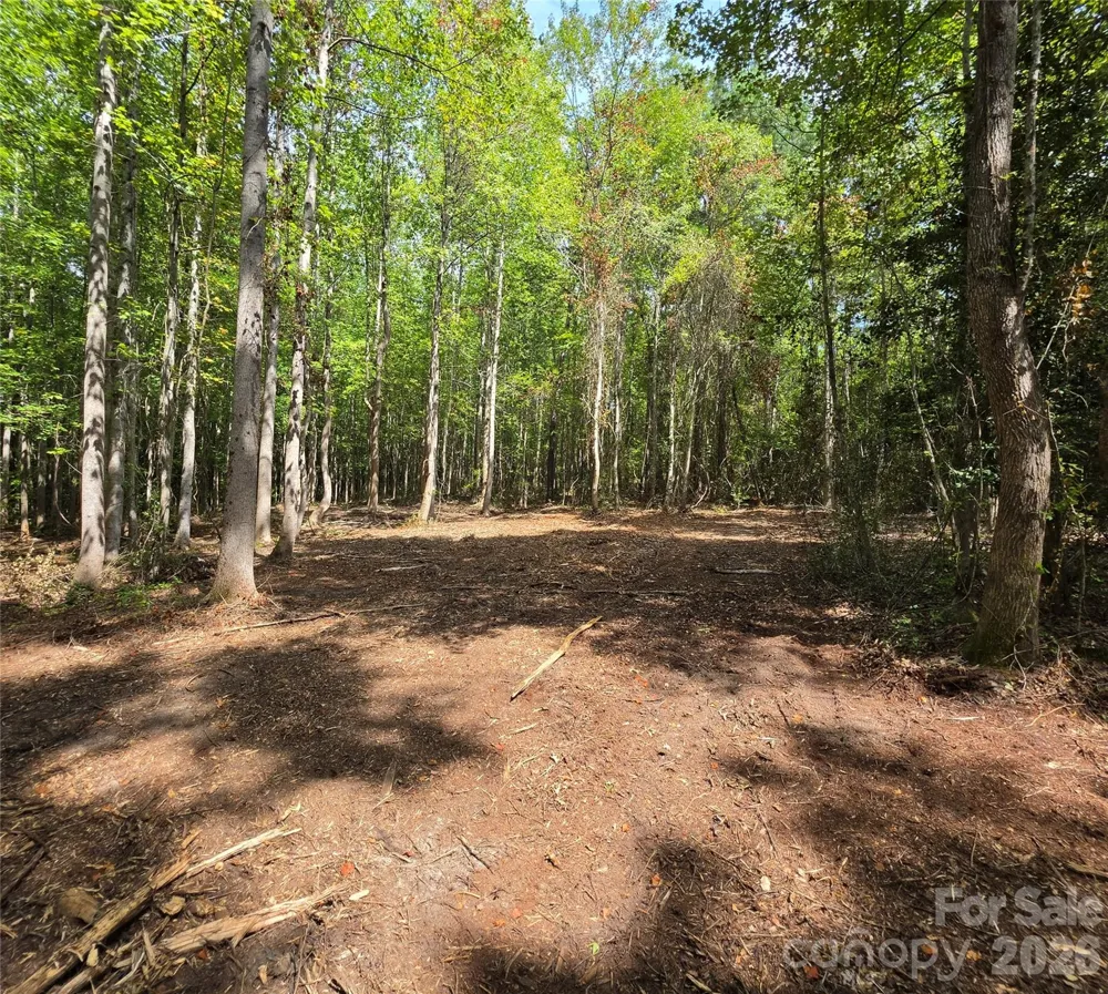1050 Mcqueen Road Patrick, SC 29584