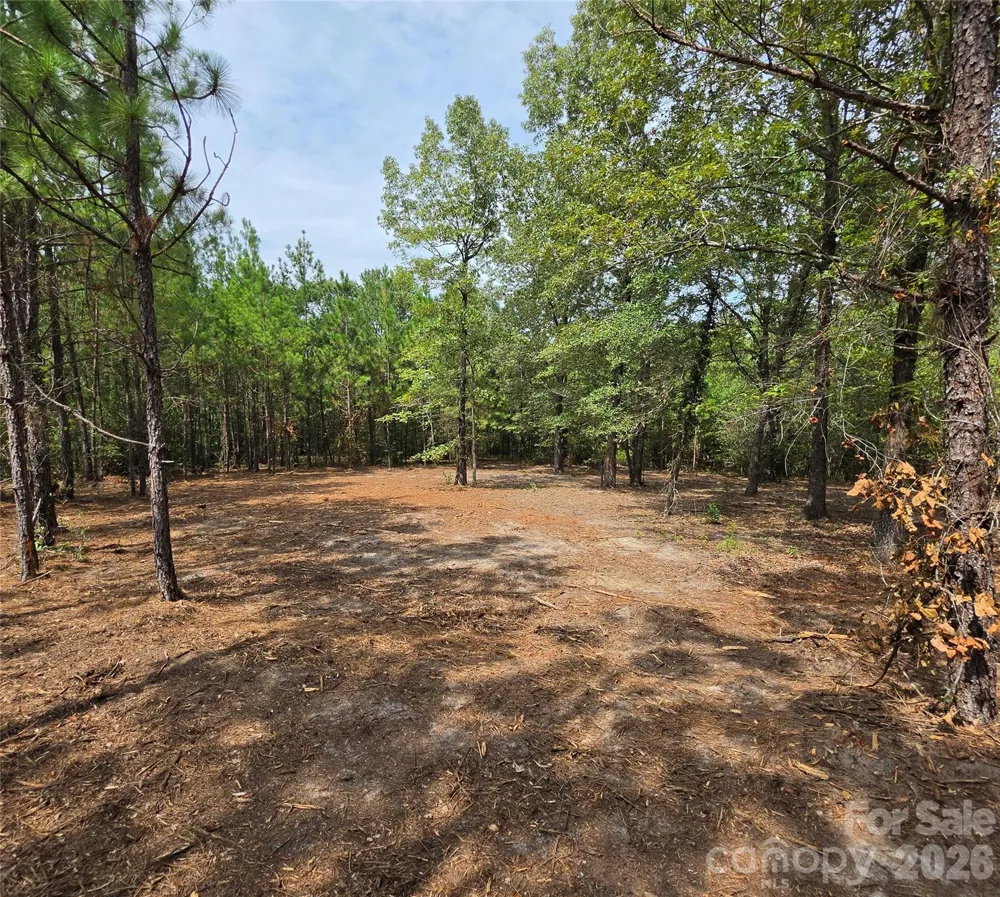 1050 Mcqueen Road Patrick, SC 29584
