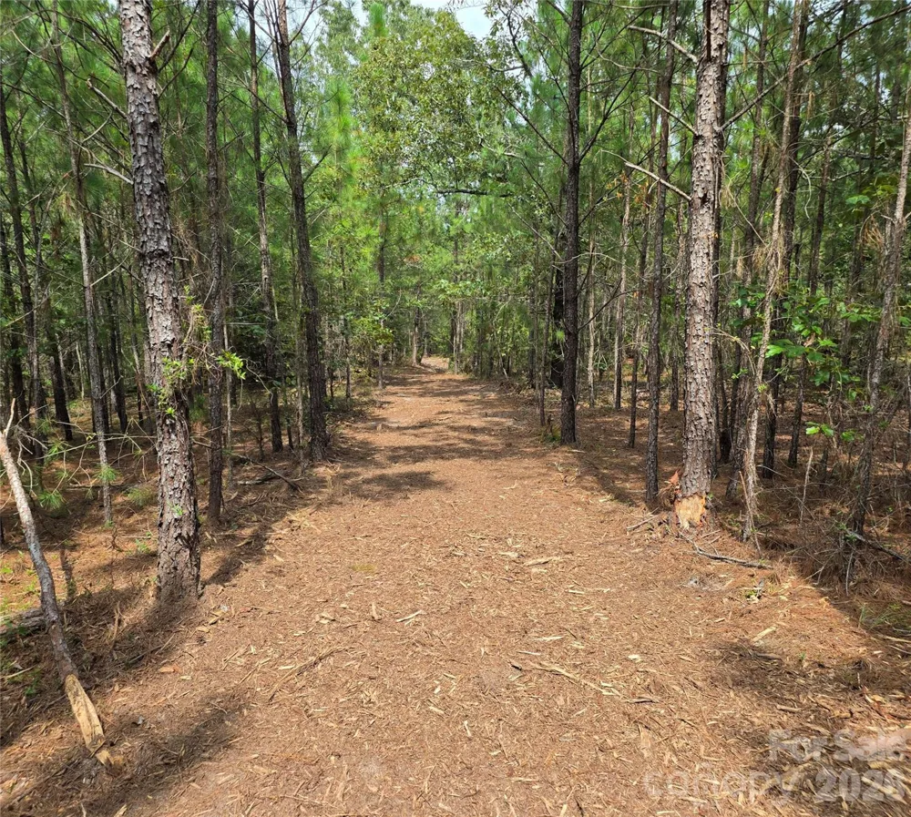 1050 Mcqueen Road Patrick, SC 29584