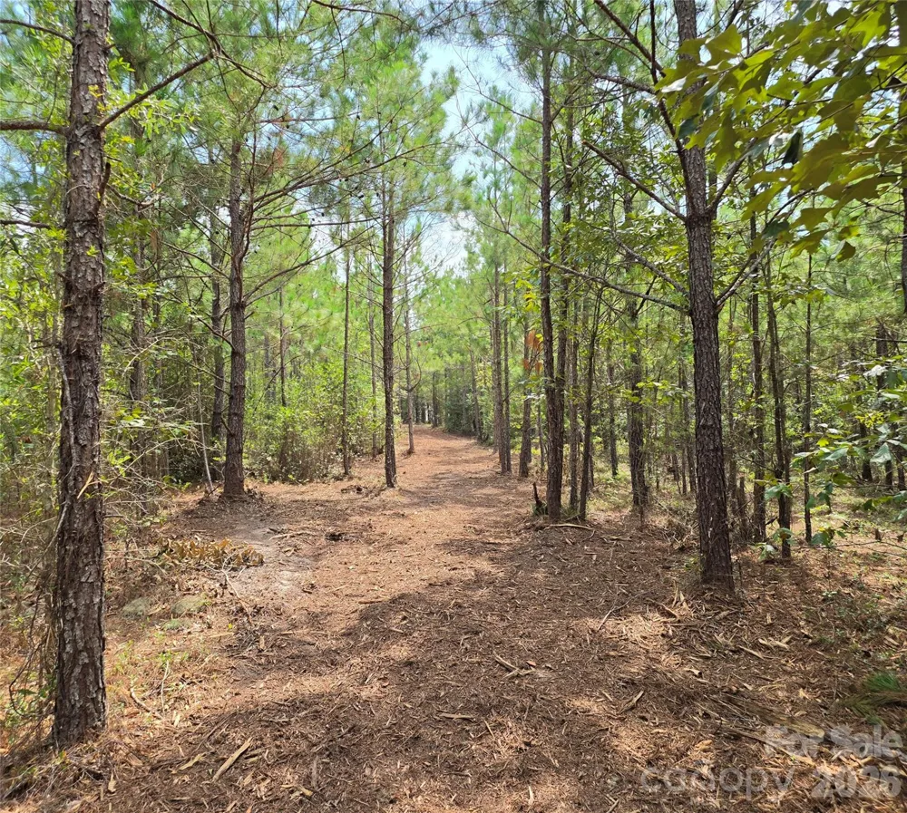 1050 Mcqueen Road Patrick, SC 29584