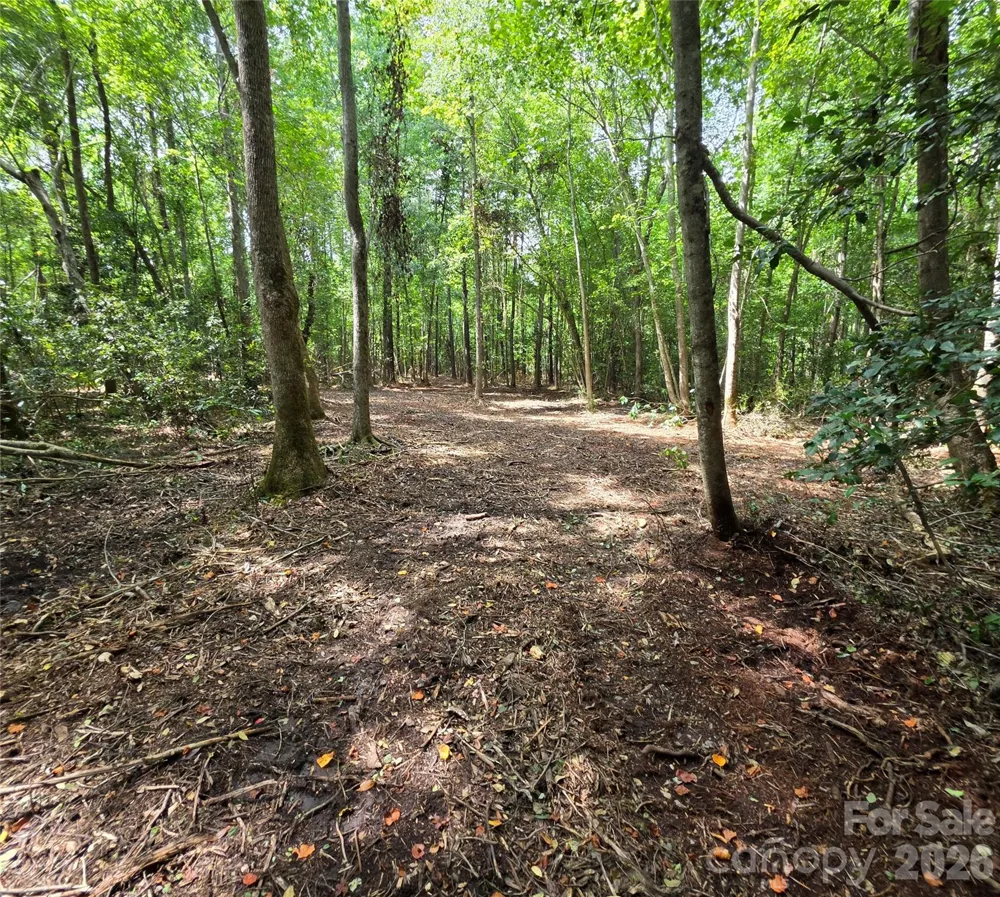 1050 Mcqueen Road Patrick, SC 29584