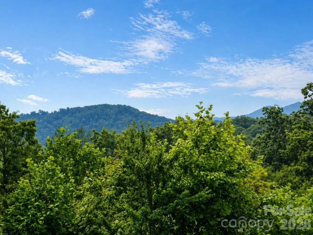 73 Dalya Road Swannanoa, NC 28778