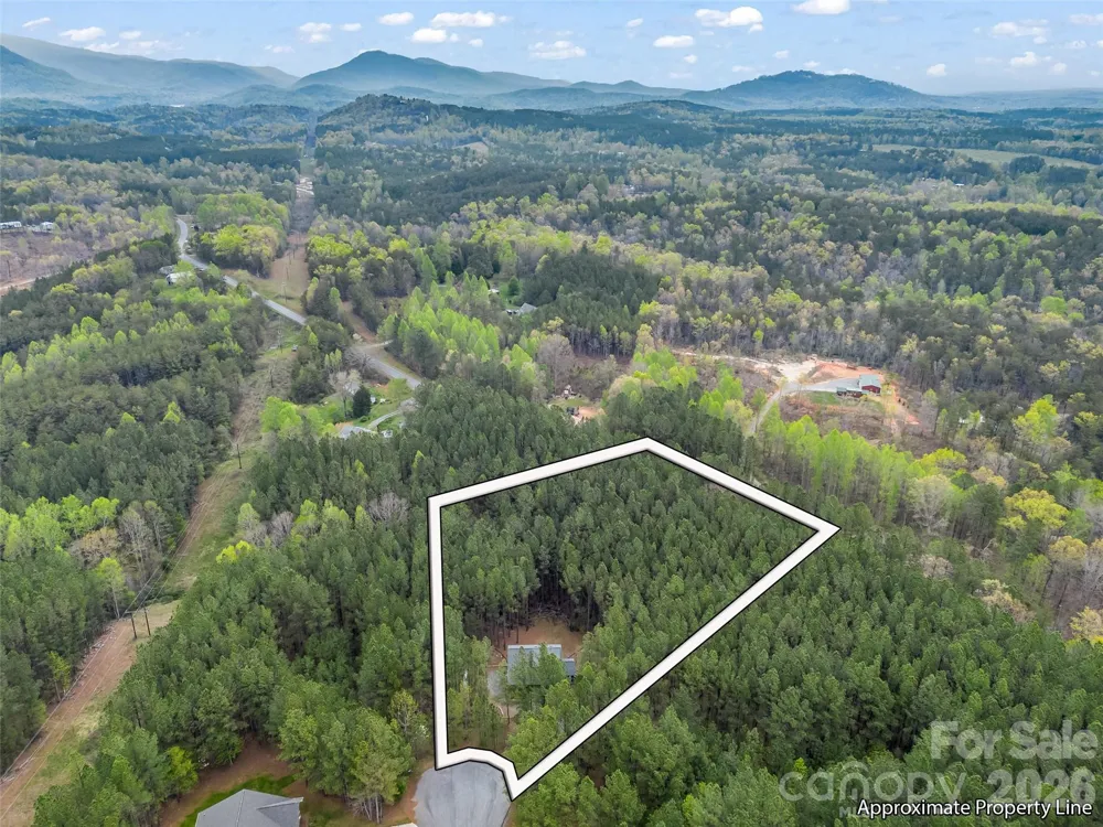 120 Ashley Court Mill Spring, NC 28756