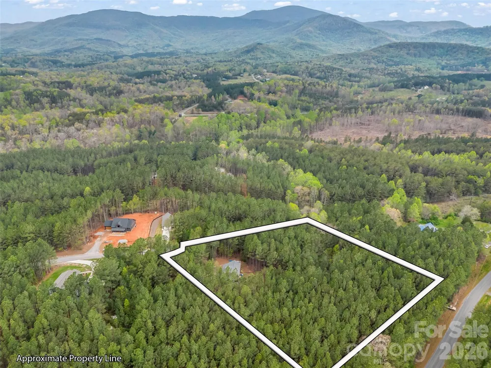 120 Ashley Court Mill Spring, NC 28756