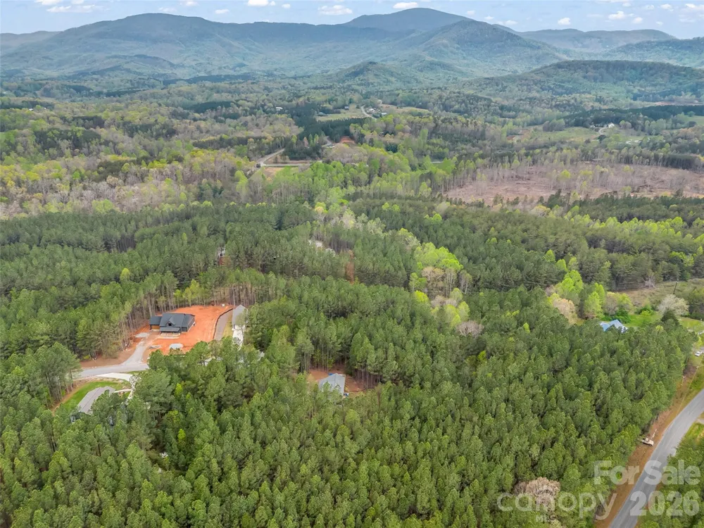 120 Ashley Court Mill Spring, NC 28756