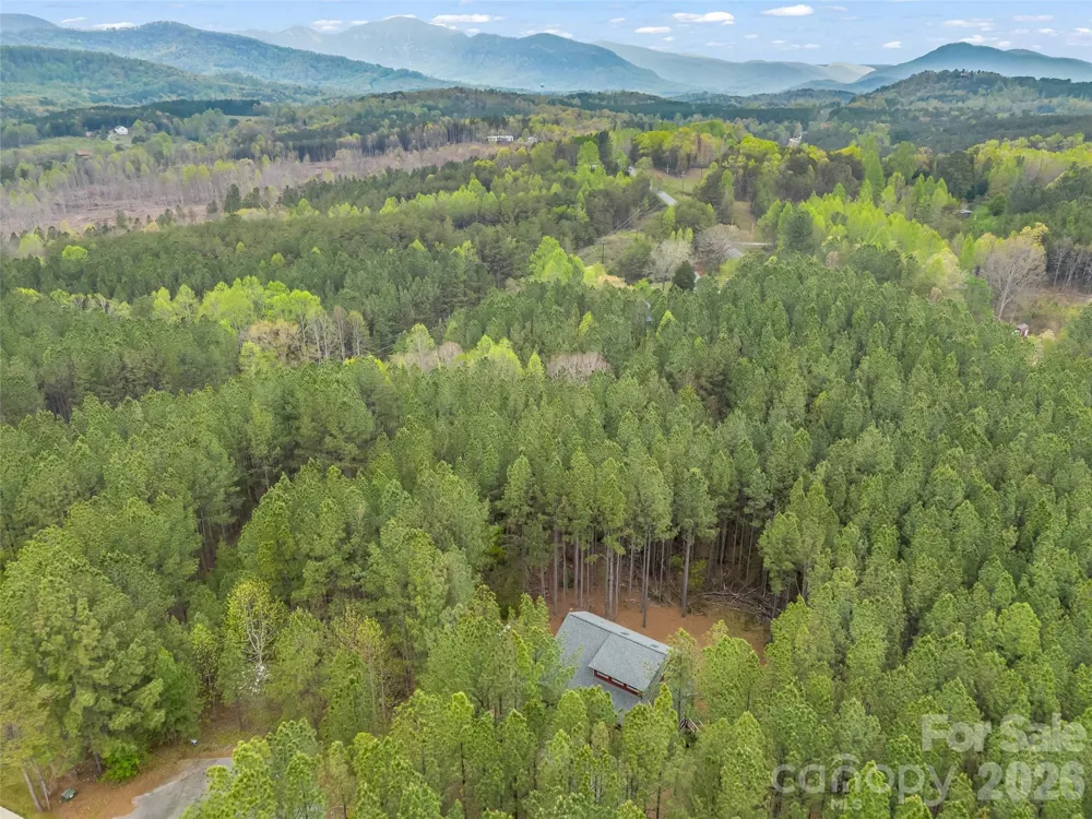 120 Ashley Court Mill Spring, NC 28756