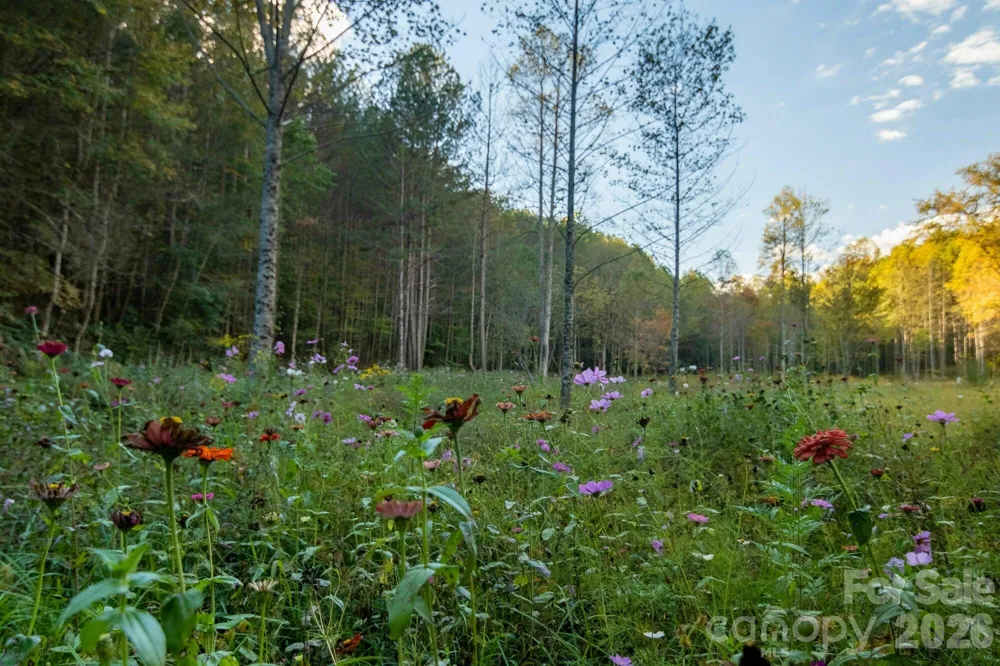 2108 River Hill Road Murphy, NC 28906