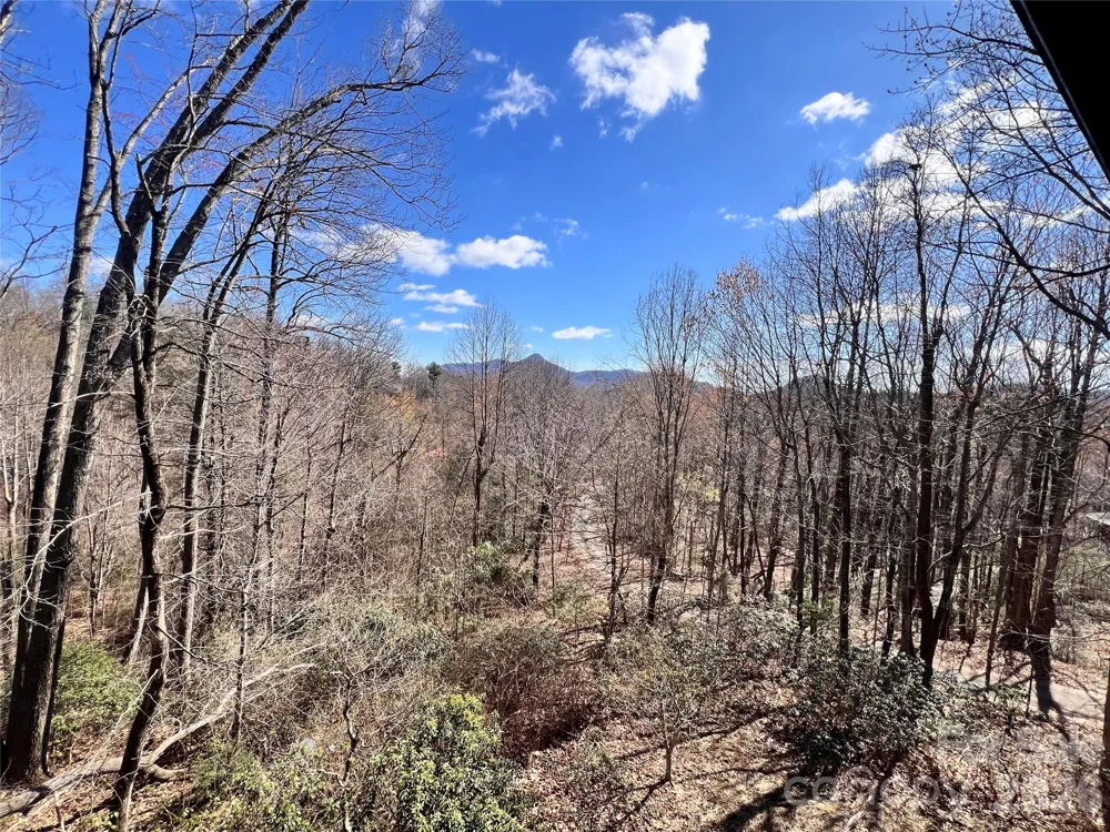 212 Glen Echo Circle Saluda, NC 28773