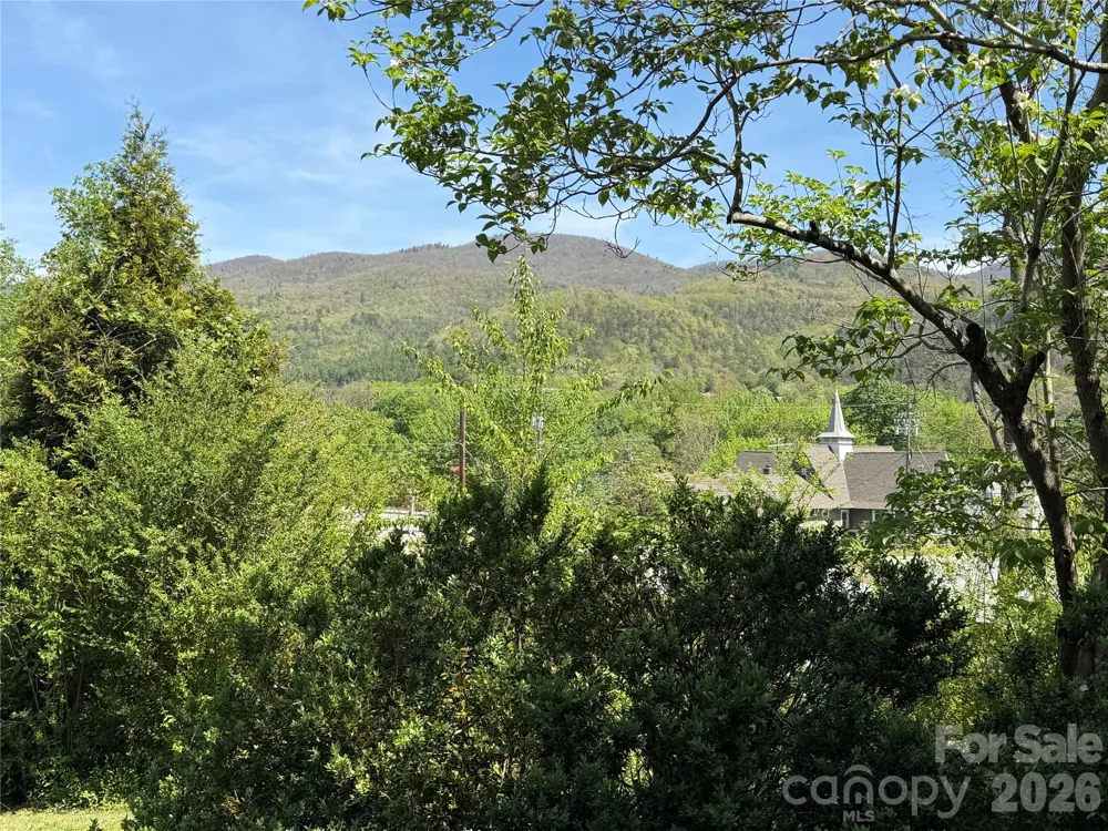 29 Walnut Street Hot Springs, NC 28743