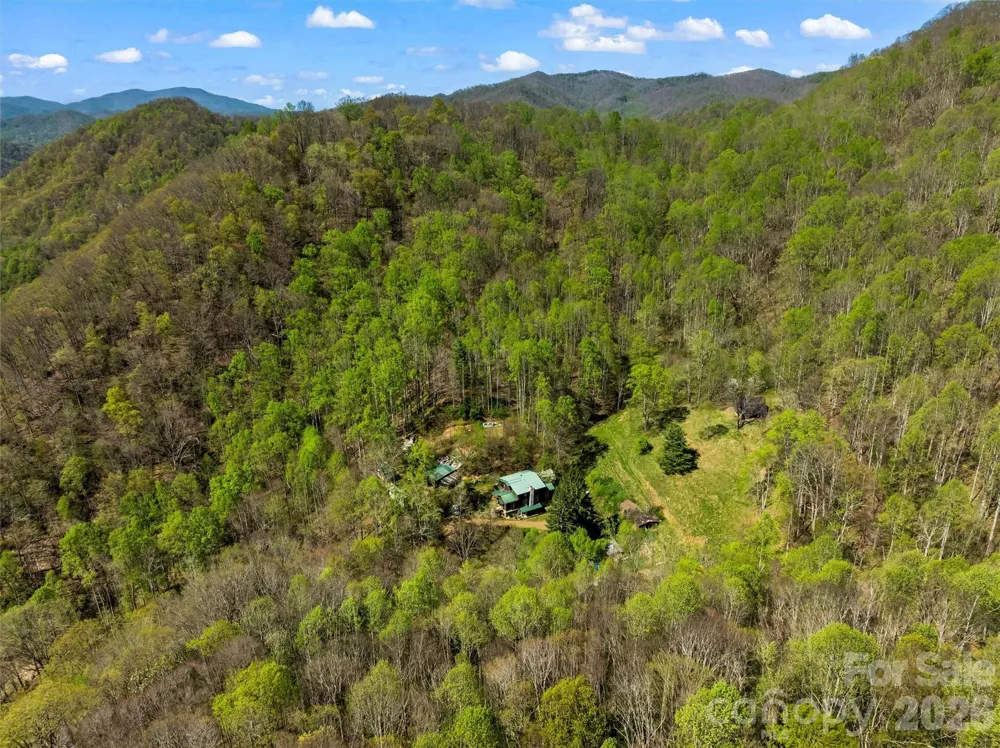1717 Howard Moore Road Hot Springs, NC 28743