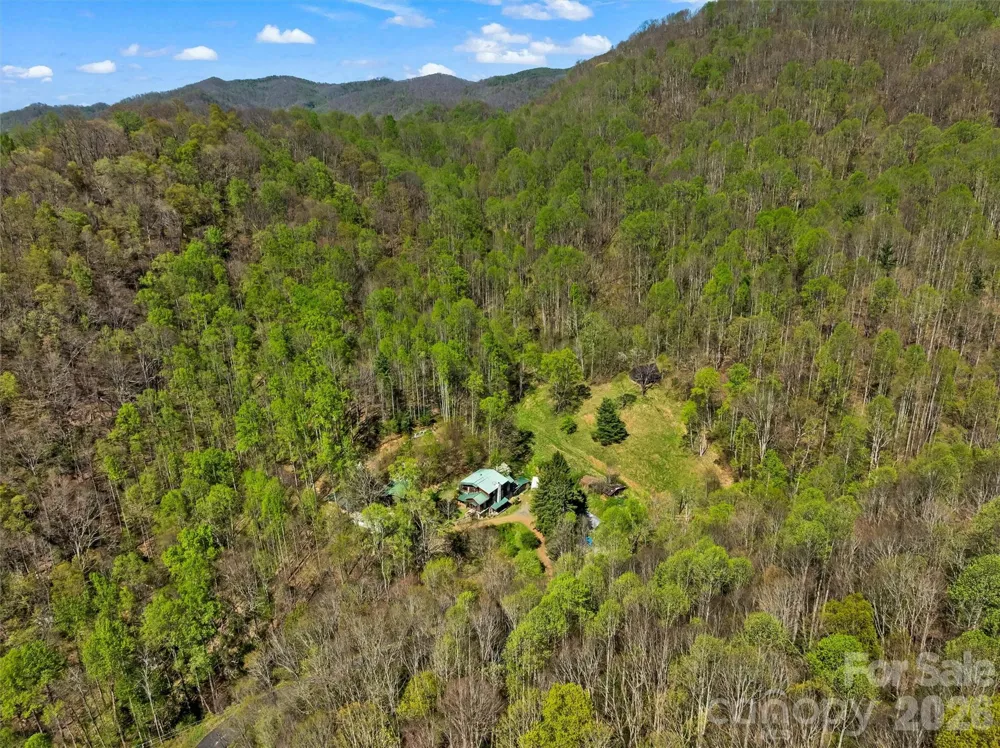 1717 Howard Moore Road Hot Springs, NC 28743