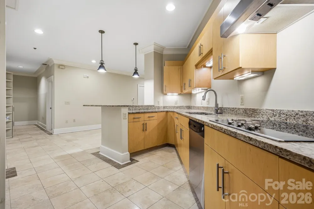 21 Battery Park Avenue #307 Asheville, NC 28801