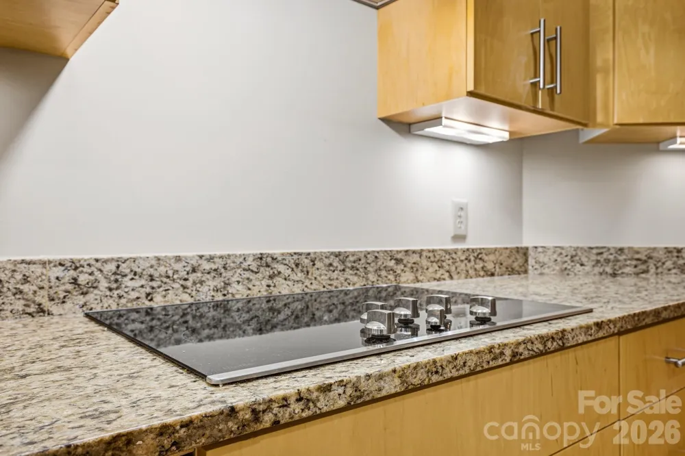 21 Battery Park Avenue #307 Asheville, NC 28801