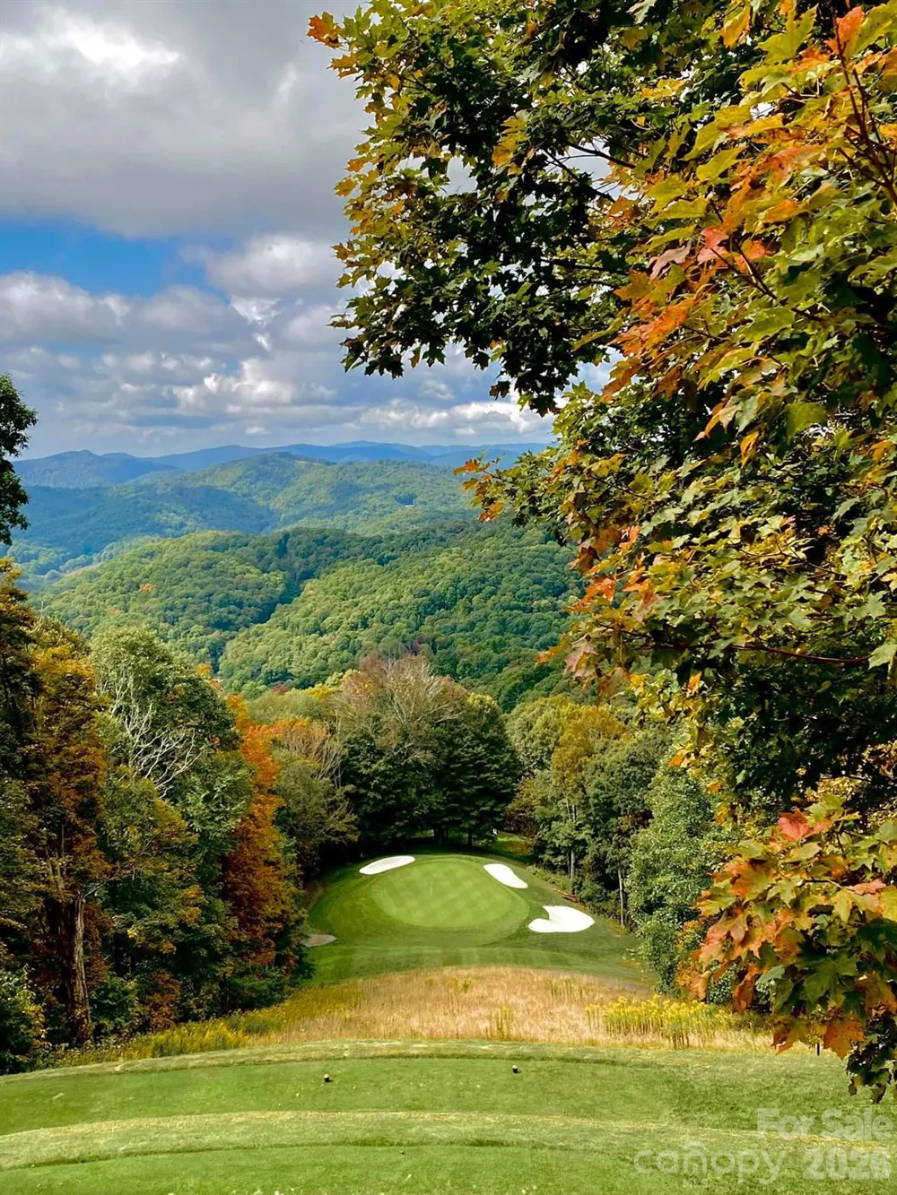 302 Eagles Nest Court S Mars Hill, NC 28754
