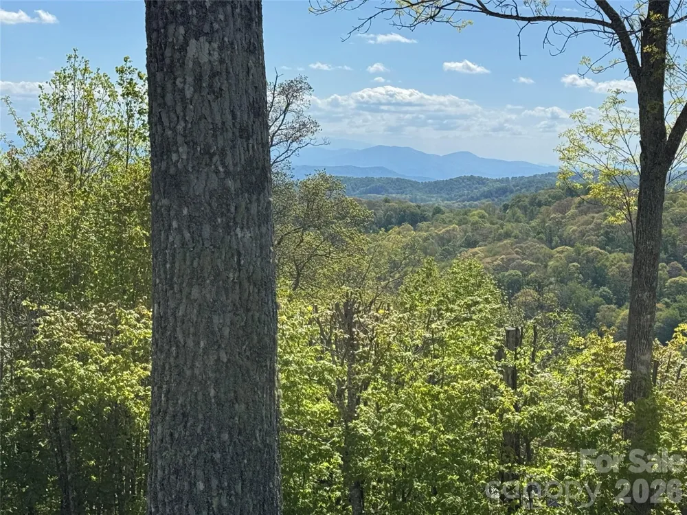302 Eagles Nest Court S Mars Hill, NC 28754