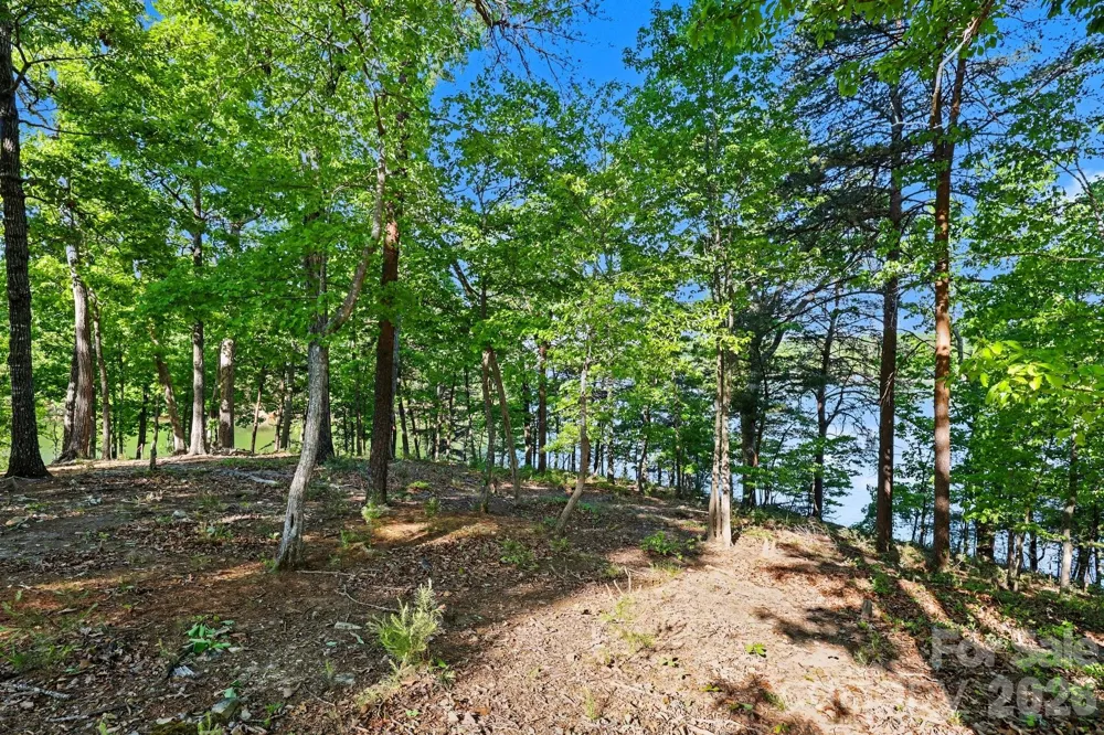 1629 Healing Springs Drive Denton, NC 27239