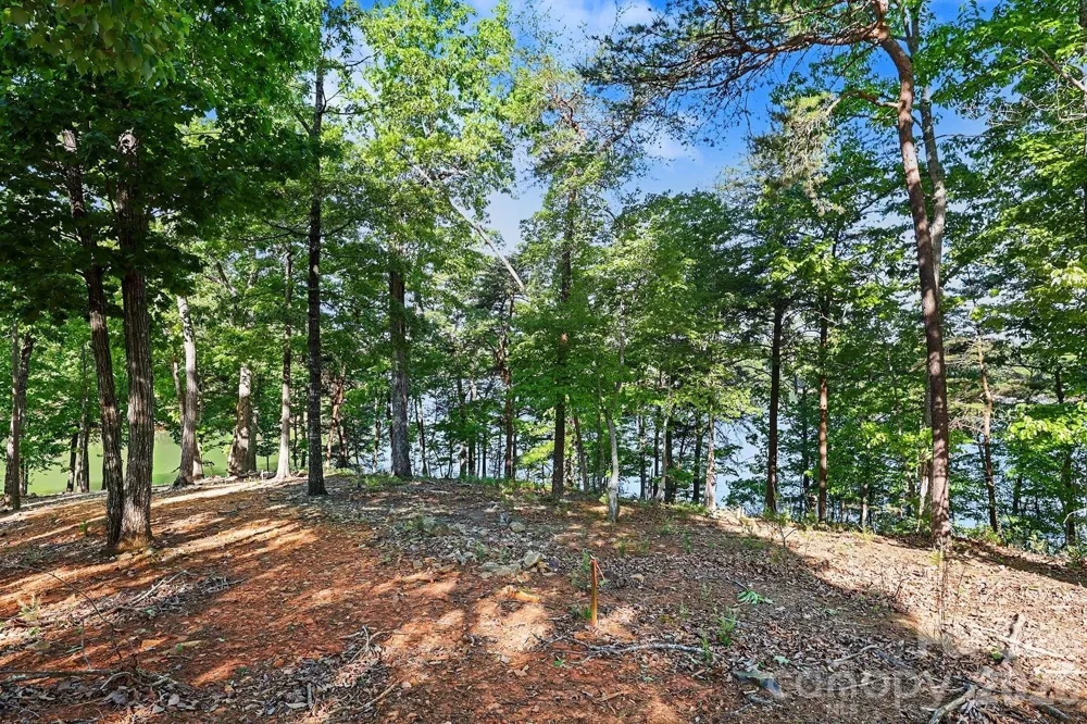 1629 Healing Springs Drive Denton, NC 27239