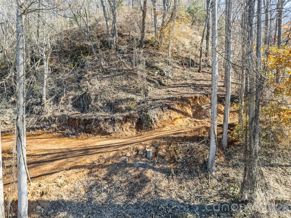 Tract 3: Lot 4 White Birch Drive Sylva, NC 28779