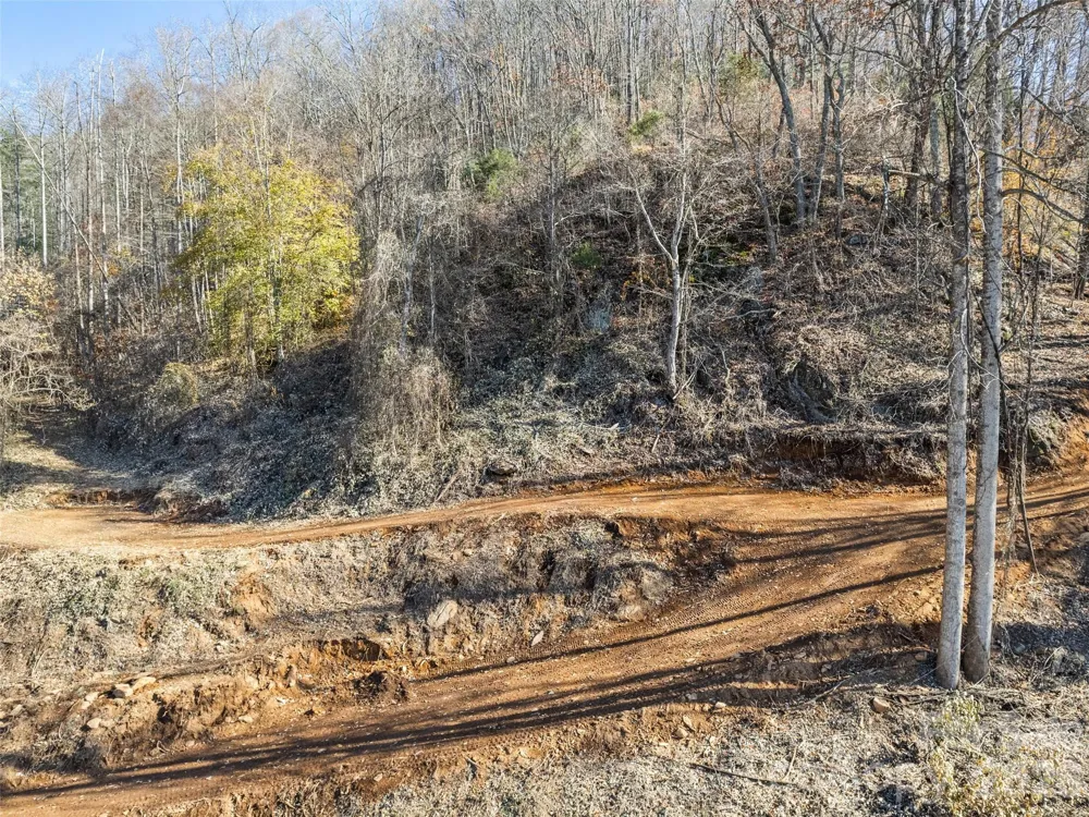 Tract 3: Lot 4 White Birch Drive Sylva, NC 28779