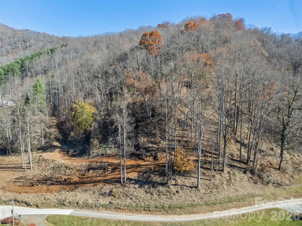 Tract 3: Lot 4 White Birch Drive Sylva, NC 28779