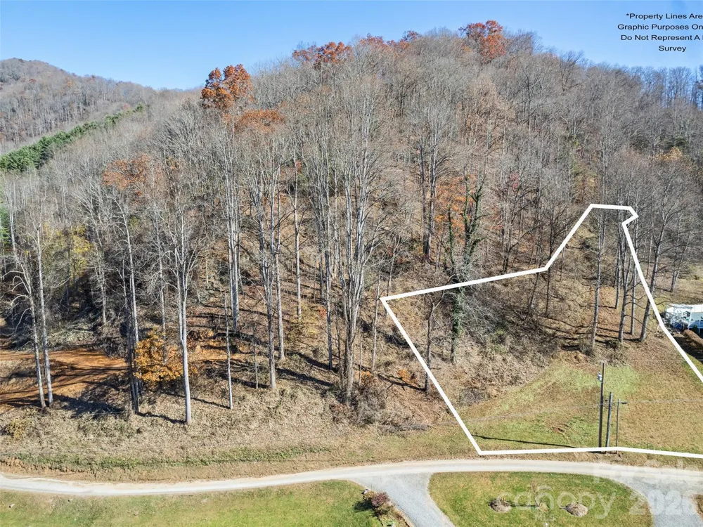 Tract 4: Lot 5 White Birch Drive Sylva, NC 28779