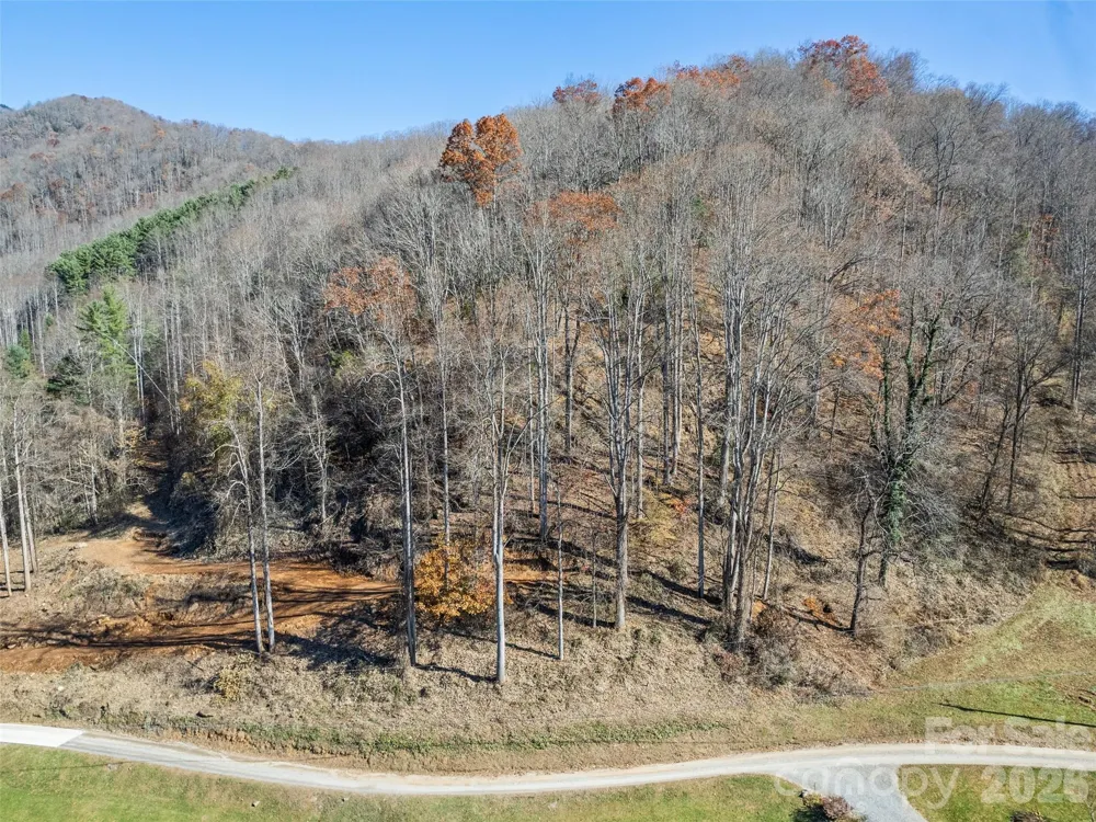 Tract 4: Lot 5 White Birch Drive Sylva, NC 28779