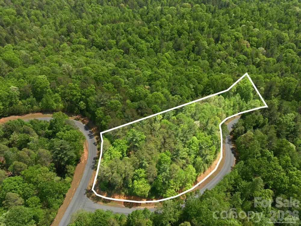 Lot 40 Larkhaven Drive Nebo, NC 28761