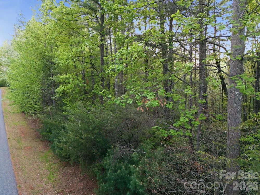 Lot 40 Larkhaven Drive Nebo, NC 28761