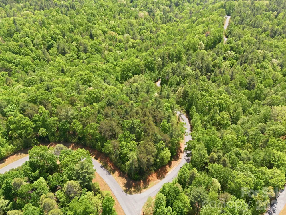 Lot 40 Larkhaven Drive Nebo, NC 28761