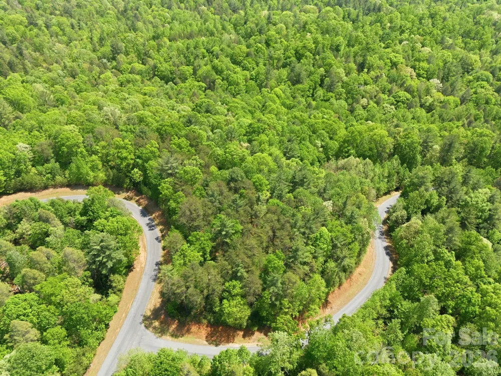 Lot 40 Larkhaven Drive Nebo, NC 28761