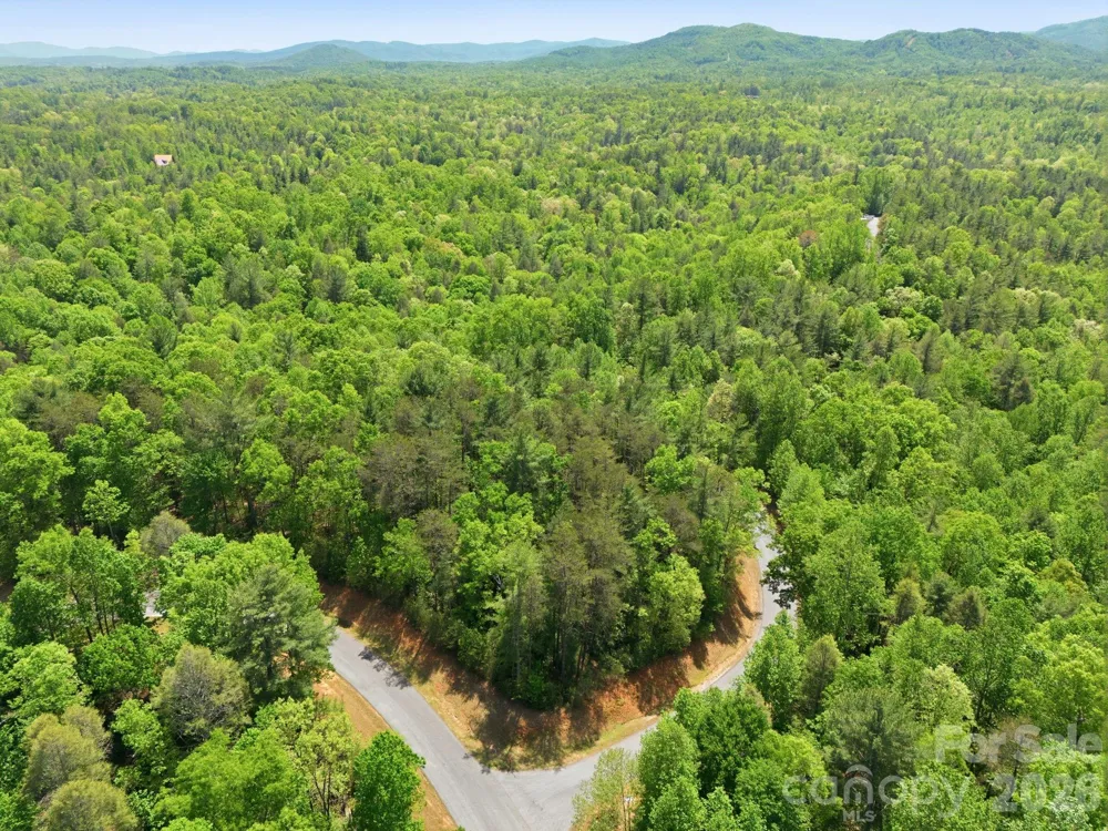 Lot 40 Larkhaven Drive Nebo, NC 28761