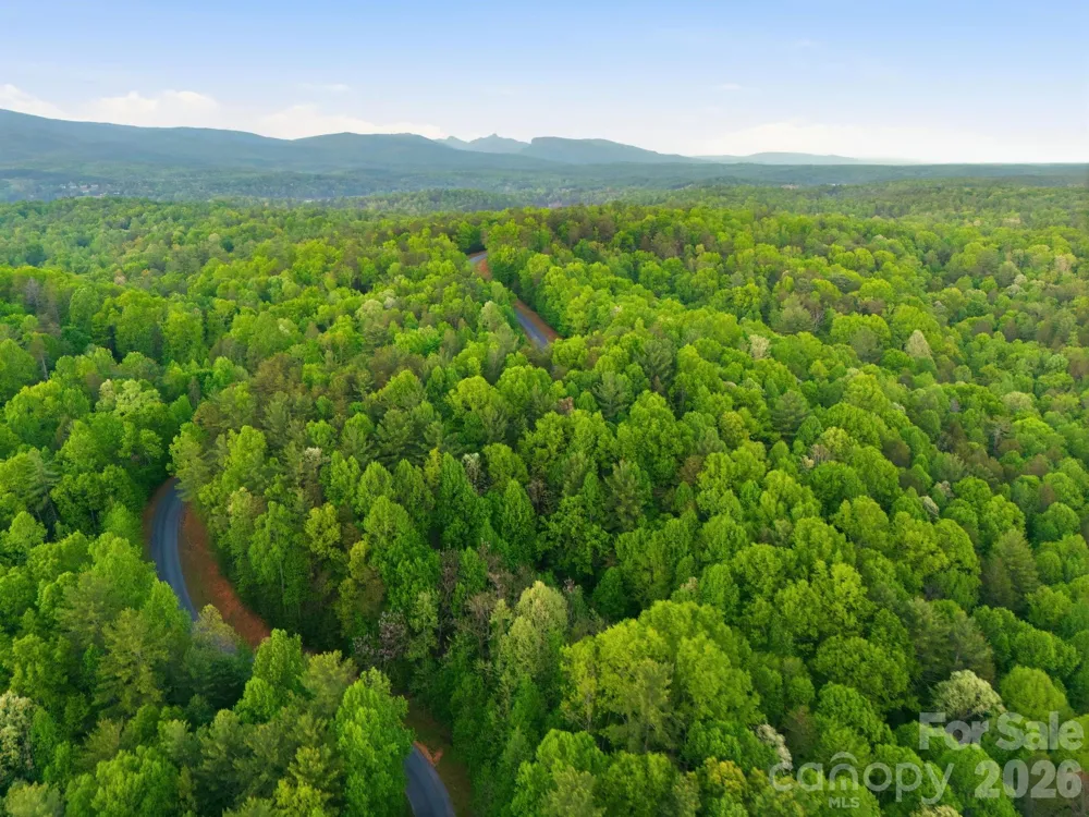 Lot 40 Larkhaven Drive Nebo, NC 28761