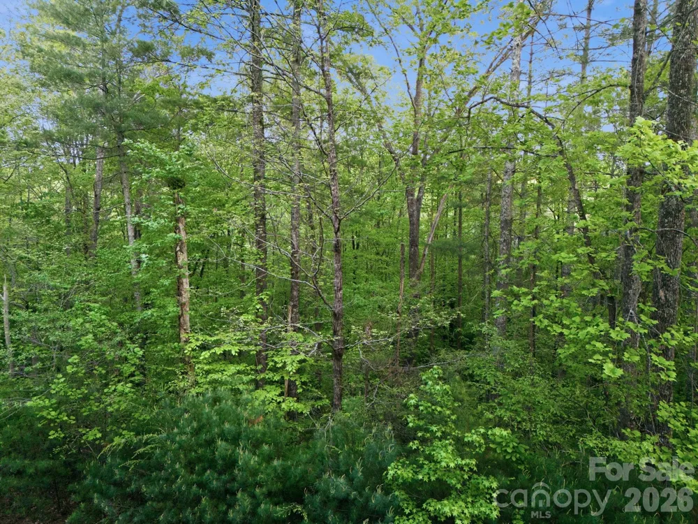 Lot 40 Larkhaven Drive Nebo, NC 28761