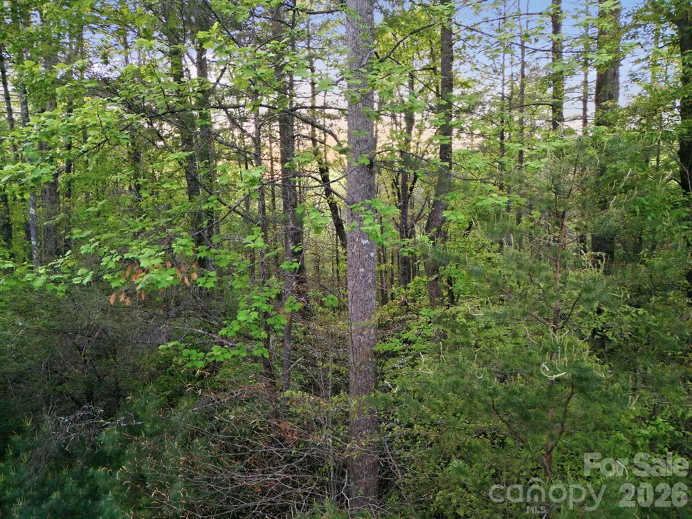 Lot 40 Larkhaven Drive Nebo, NC 28761