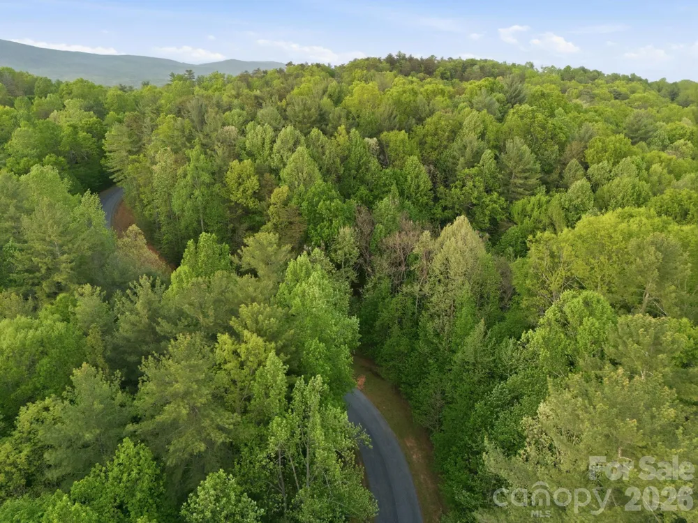 Lot 40 Larkhaven Drive Nebo, NC 28761