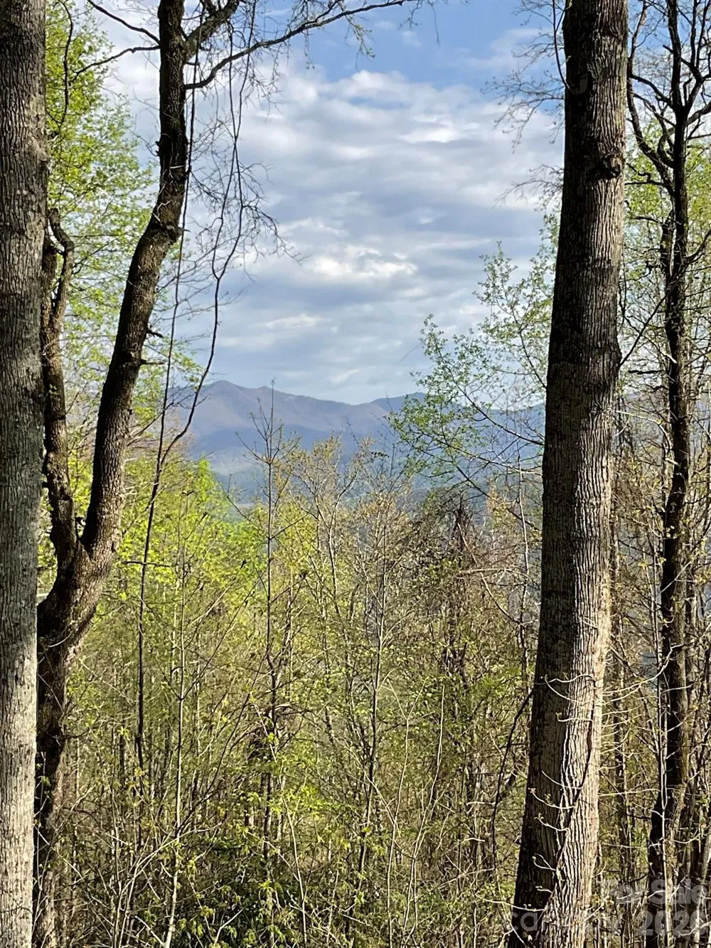 1414 Easy Wind Drive #56 Swannanoa, NC 28778