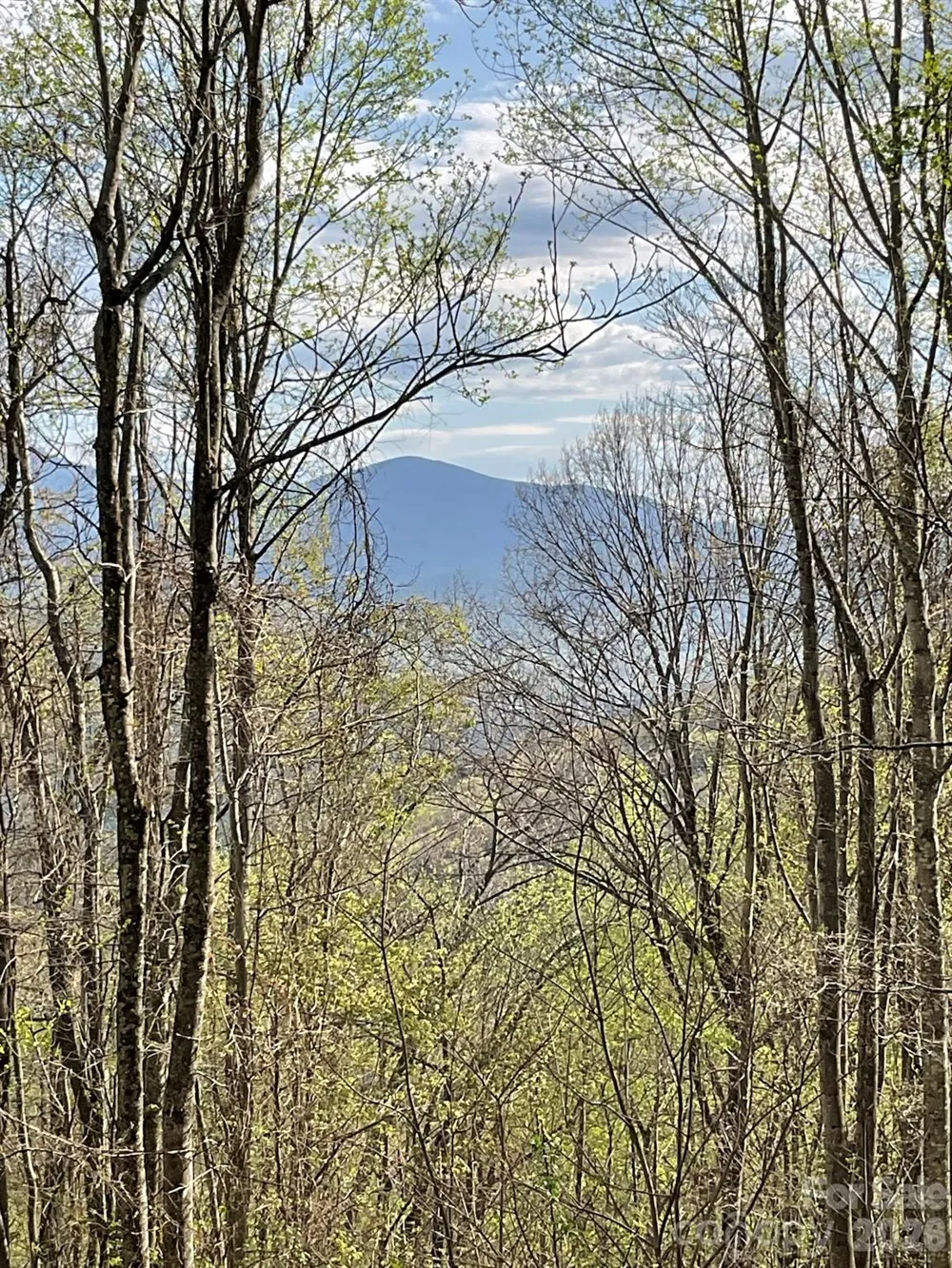 1414 Easy Wind Drive #56 Swannanoa, NC 28778
