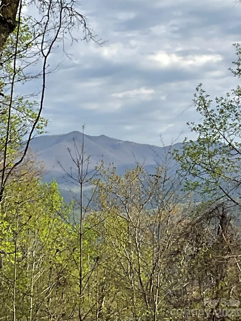 1414 Easy Wind Drive #56 Swannanoa, NC 28778