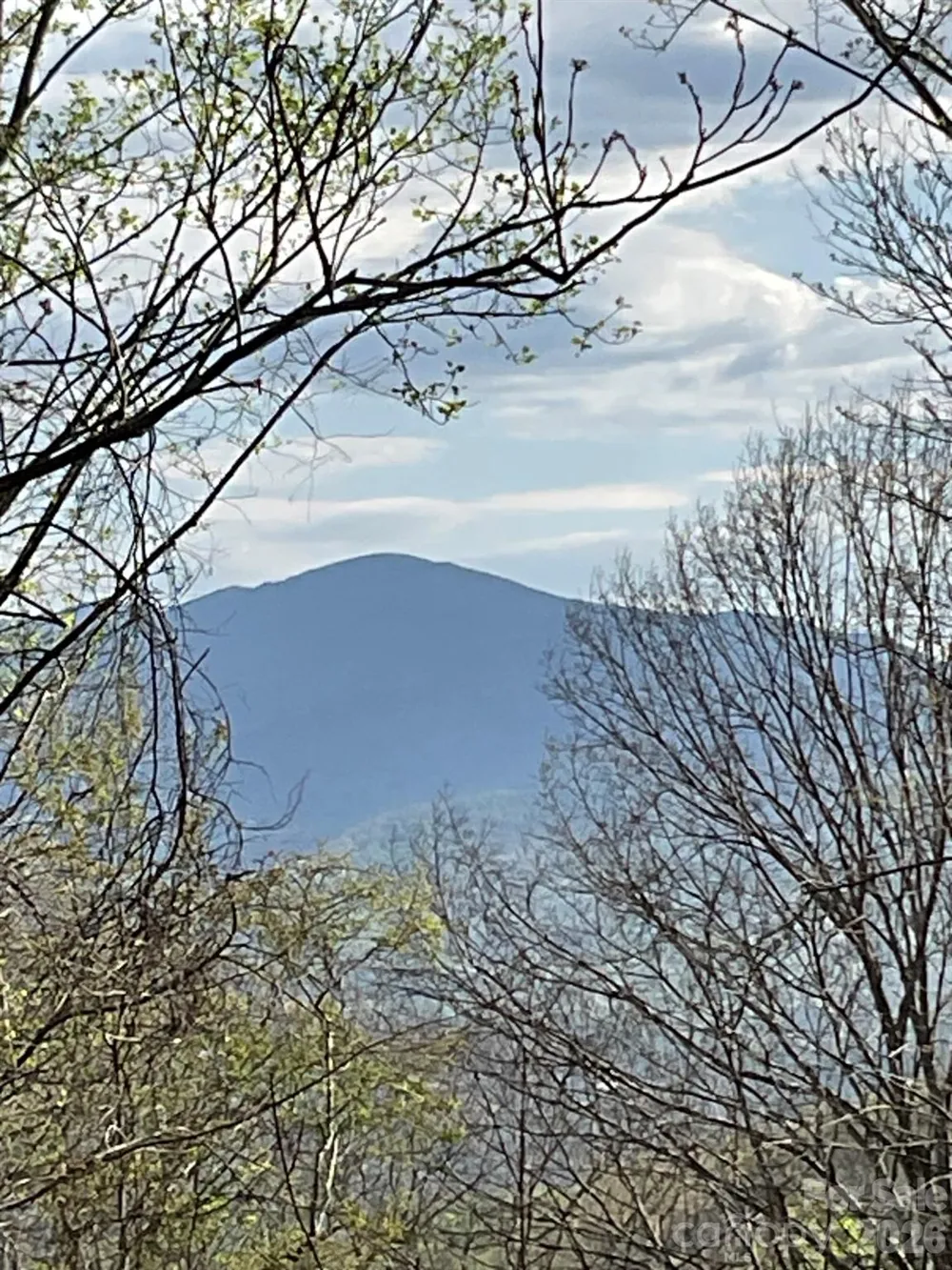 1414 Easy Wind Drive #56 Swannanoa, NC 28778