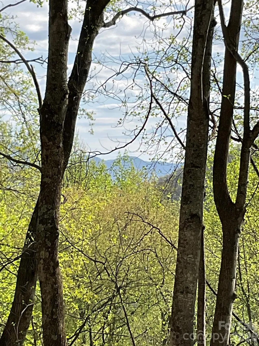 1414 Easy Wind Drive #56 Swannanoa, NC 28778