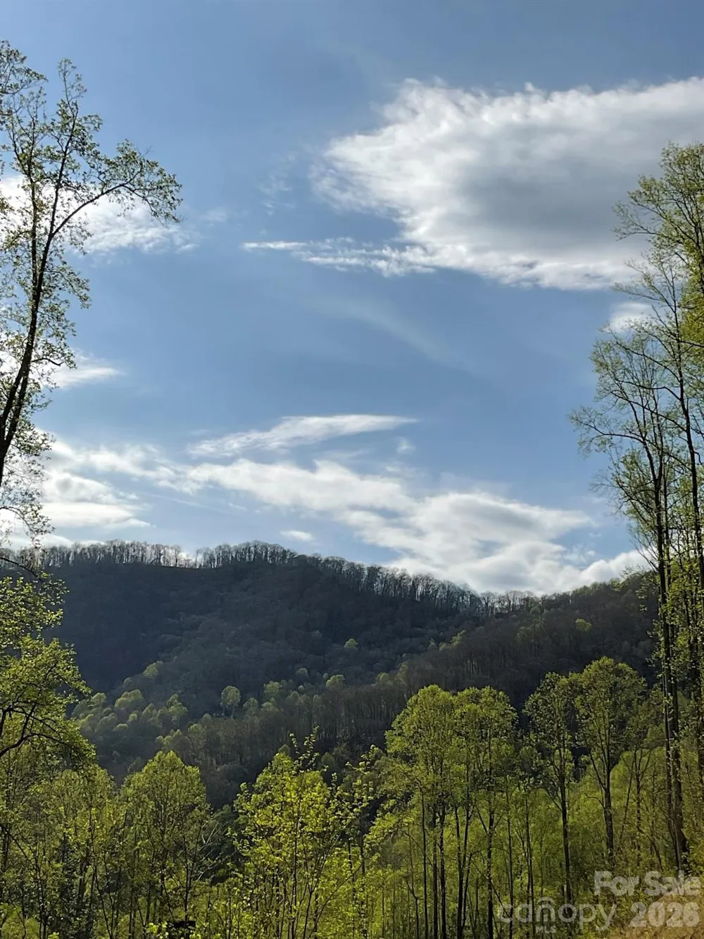 1414 Easy Wind Drive #56 Swannanoa, NC 28778