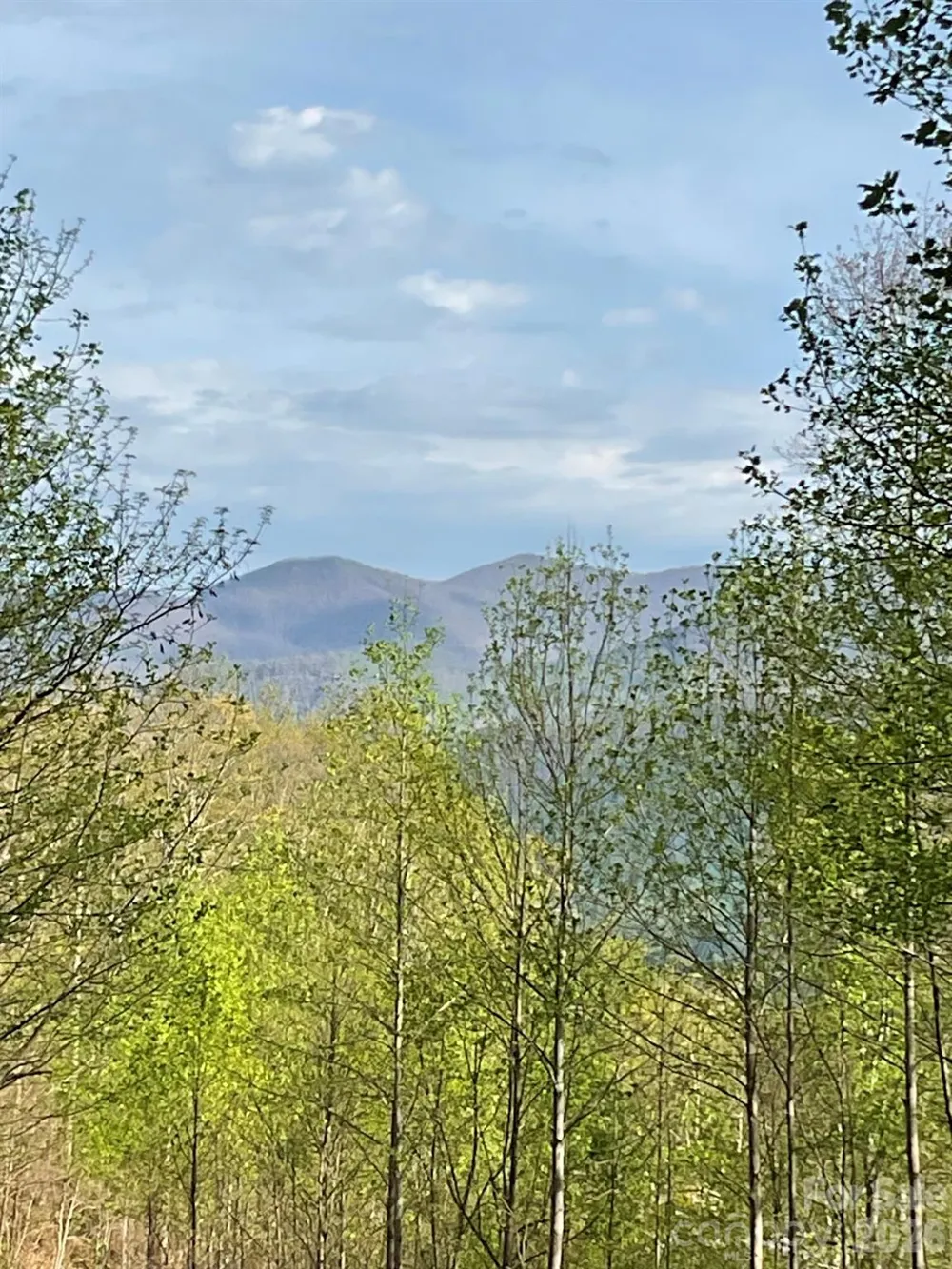 1414 Easy Wind Drive #56 Swannanoa, NC 28778