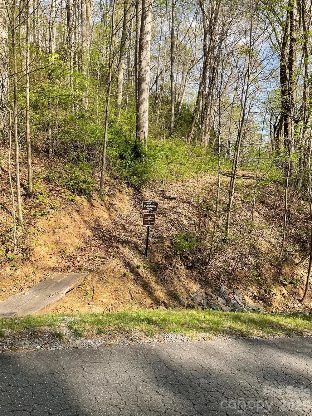 1414 Easy Wind Drive #56 Swannanoa, NC 28778